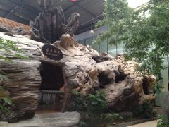 iphone_upload_pic-绿岛生态园
