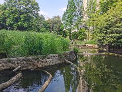 -成都市活水公园