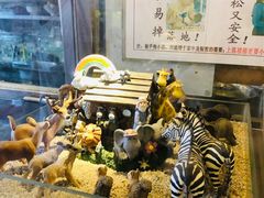 -大哥餐厅(西城花园店)