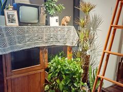 -懒人盐府人家(航天桥店)