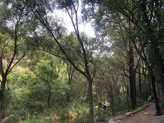 -碓臼峪自然风景区