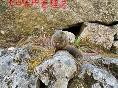 -苍山感通索道