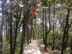 -罗田薄刀峰风景区