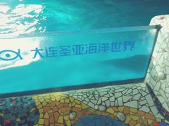 -大连圣亚海洋世界