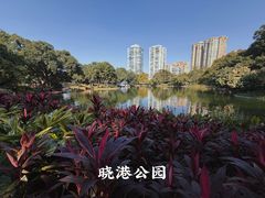 -晓港公园