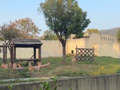 -合肥野生动物园