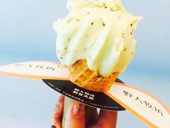 奇异果冰淇淋-野人先生现做冰淇淋(西安赛格店)
