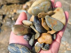 -西涌国际滨海旅游区