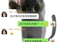 -申普宠物医院·心脏介入·心血管微创(总院)