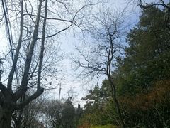 -青岛德国总督楼旧址博物馆