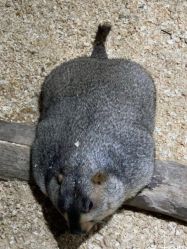 -酷嗒动物文化乐园(cutezoo西溪乐天城店)