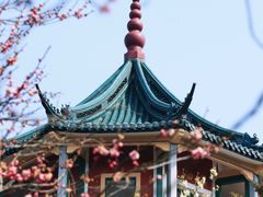 -无锡梅园公园