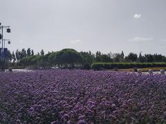 -敦煌莫高国际机场