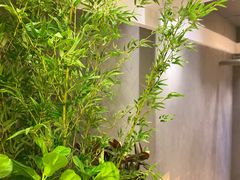 -唐沫茶兮(仓山万达金街店)