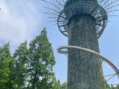 -黄海国家森林公园