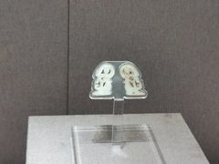 -河南博物院