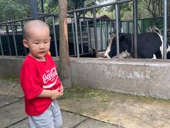 -洪湖家庭农场·团建·露营·会议