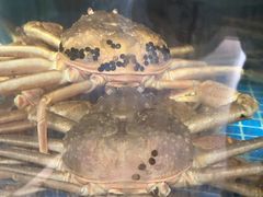 -碗中海·蒸汽海鲜·桑拿鸡(岭南天地店)
