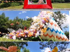 -杭州野生动物世界