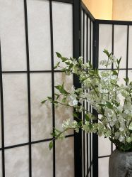 -全城热恋写真馆(南方大厦店)