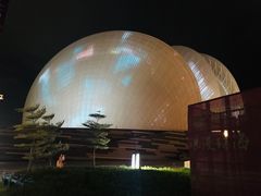 -野狸岛