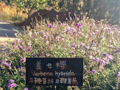 -云峰山自然风景区