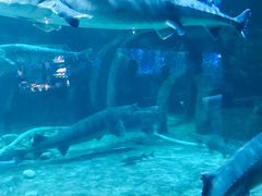 -华夏文旅海洋公园