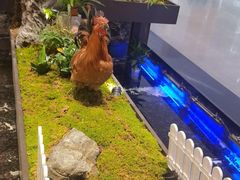 -山涧肴·湘味家肴(松岗满纷天地店)