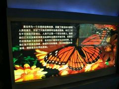 -上海昆虫博物馆