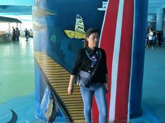 -秦皇岛乐岛海洋王国