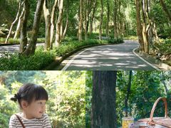 -火炉山森林公园