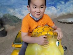 -泉城欧乐堡海洋极地世界