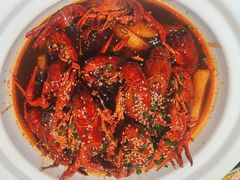 -肥肥虾庄·金牌油焖大虾(沙湖店)