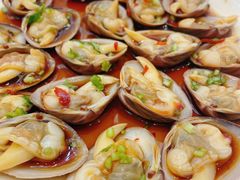 熟腌花蛤-顺味凤城(九六广场店)