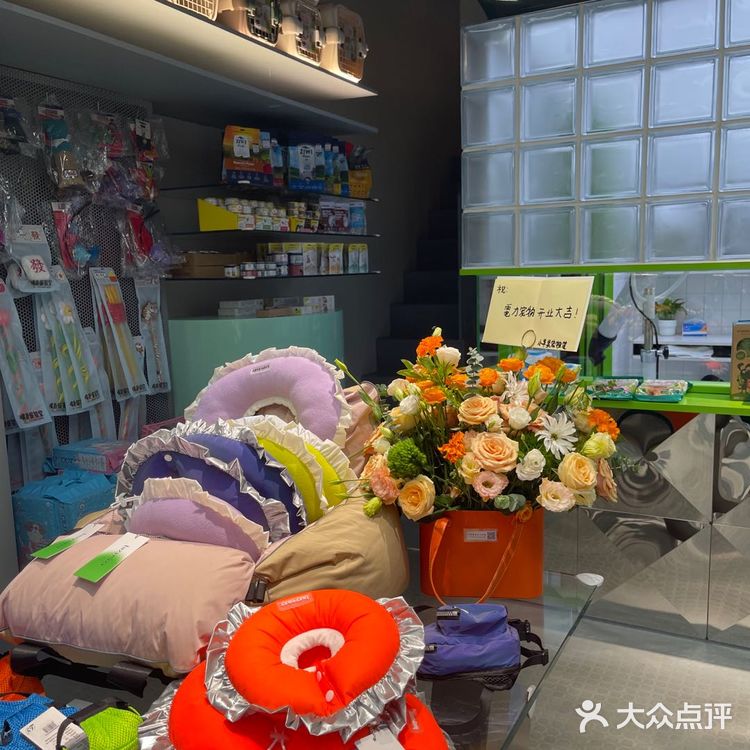 电力宠物公司