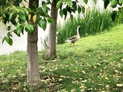 -西安浐灞国家湿地公园