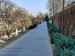 -元大都城垣遗址公园