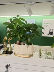 点击看大图 -章光101防脱养发荟