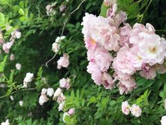 -江南大学(蠡湖校区)