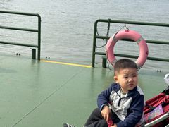 -溱湖国家湿地公园