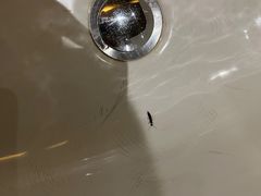 -天津君隆威斯汀酒店