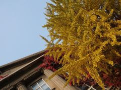 -辽宁大学(崇山校区)