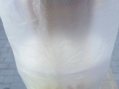 -清真马记宫廷奶酪(广渠门内大街店)