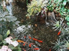 -颐而康·按摩·艾灸·足疗(汽车东站店)