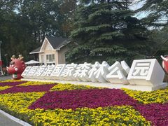 -日照海滨国家森林公园