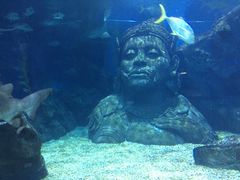 -暹罗海洋世界