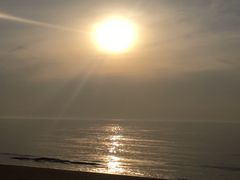 -日照海滨国家森林公园