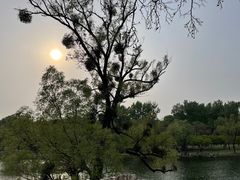 -承德避暑山庄景区