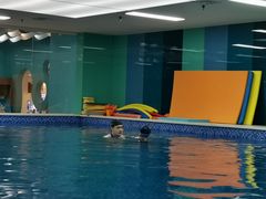 -Swim斯卫姆国际儿童游泳中心(红博中央公园店)