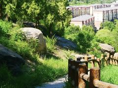 -白水寺森林公园